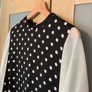 Zara Polka Dot Dress